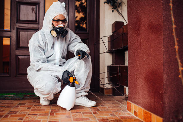 Reliable Cockroach Control contractor in Mountain Home, ID by Nex Pest Control